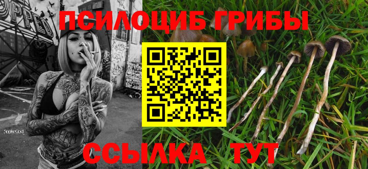 Псилоцибиновые грибы ЛСД  Псилоцибиновые грибы MAGIC MUSHROOMS  Вход с VPN  Муром 