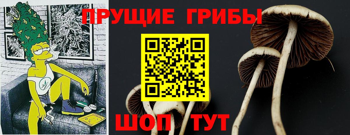 Галлюциногенные грибы MAGIC MUSHROOMS Муром
